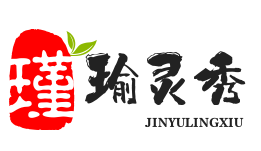 小说站